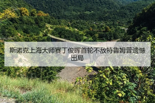 si-nuo-ke-shang-hai-da-shi-sai-ding-jun-hui-shou-lun-bu-di-te-lu-mu-pu-yi-han-chu-ju-2-809.jpg