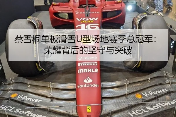 蔡雪桐单板滑雪U型场地赛季总冠军：荣耀背后的坚守与突破